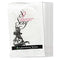 Pack 10 Condones Femeninos So Sexy